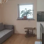 Rent 1 bedroom apartment of 27 m² in Katowice