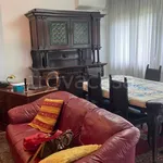 Rent 3 bedroom apartment of 120 m² in Padova