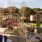 Rent 3 bedroom apartment of 60 m² in Follonica