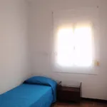 Rent 3 bedroom apartment in Madrid