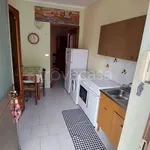 Rent 2 bedroom apartment of 30 m² in Torino