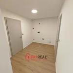 Rent 3 bedroom apartment of 441 m² in Brno