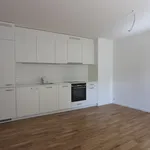 Rent 3 bedroom apartment of 66 m² in Basel