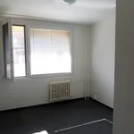 Pronajměte si 3 ložnic/e byt o rozloze 76 m² v Prague