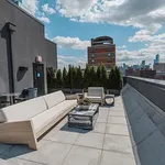 Rent 1 bedroom apartment in New York