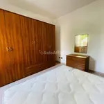 Rent 2 bedroom apartment of 45 m² in Ferrara