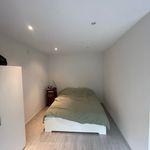 Rent 5 bedroom house of 160 m² in Tongelresche Akkers