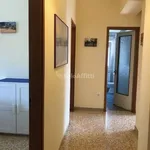 Rent 2 bedroom apartment of 65 m² in Trieste