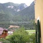 Apartment via Porteghi 7, Monclassico, Dimaro Folgarida