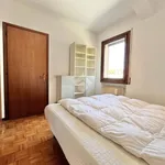 Rent 2 bedroom apartment of 41 m² in Castelfranco Veneto