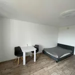 Miete 1 Schlafzimmer wohnung von 30 m² in Nürnberg