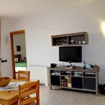 Rent 2 bedroom apartment of 45 m² in rome