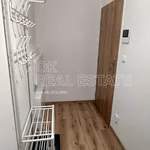 Rent 1 bedroom apartment of 34 m² in Modřice