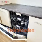 Rent 4 bedroom apartment of 69 m² in Havířov