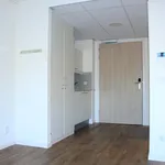 Huur 1 slaapkamer appartement van 33 m² in Berkel en Rodenrijs