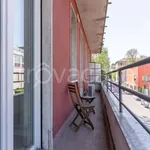 Rent 3 bedroom apartment of 69 m² in Milano