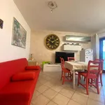 Rent 2 bedroom apartment of 55 m² in Velletri