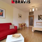 Rent 1 bedroom apartment of 38 m² in Brno