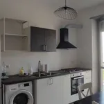 Rent 4 bedroom apartment of 125 m² in Turin