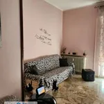 Rent 3 bedroom apartment of 100 m² in Pavia