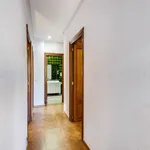 Rent 7 bedroom apartment in Valencia