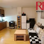 Rent 1 bedroom apartment of 31 m² in Plzeň