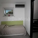 Rent 3 bedroom apartment of 55 m² in Albano Laziale