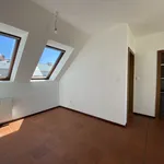 Rent 3 bedroom apartment of 113 m² in Graz