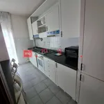 Rent 5 bedroom apartment of 90 m² in Pisa