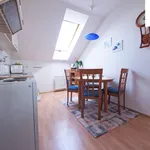 Rent 2 bedroom apartment of 51 m² in Žďár nad Sázavou