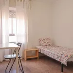 Rent a room in madrid