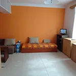 Rent 1 bedroom apartment in Hodonín