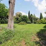 Rent 5 bedroom house of 453 m² in Roma