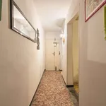 Rent 1 bedroom apartment in florence