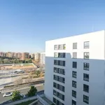 Rent a room in valencia