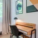 Rent 1 bedroom apartment of 50 m² in Berlin