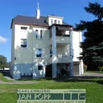 Rent 2 bedroom apartment of 50 m² in Greiz