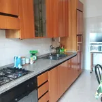 Rent 3 bedroom apartment of 70 m² in Roma