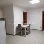 Rent 2 bedroom apartment of 45 m² in Catanzaro