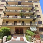 Rent 1 bedroom apartment of 40 m² in Palermo