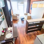 Rent 1 bedroom apartment of 30 m² in Prague