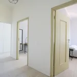 Rent 4 bedroom apartment in Modena