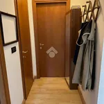 Rent 4 bedroom apartment of 100 m² in Bologna