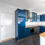 Rent 5 bedroom apartment of 250 m² in Prague