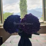 2-room flat via Ca' di Boff, Colico Piano, Colico