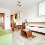 Rent 2 bedroom apartment of 47 m² in Capital City of Prague