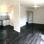 Appartement de 30 m² avec 1 chambre(s) en location à METZ