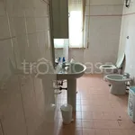 Rent 3 bedroom apartment of 70 m² in Terni