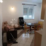 Najam 2 spavaće sobe stan od 65 m² u Matulji