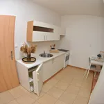 Studio of 45 m² in Brno